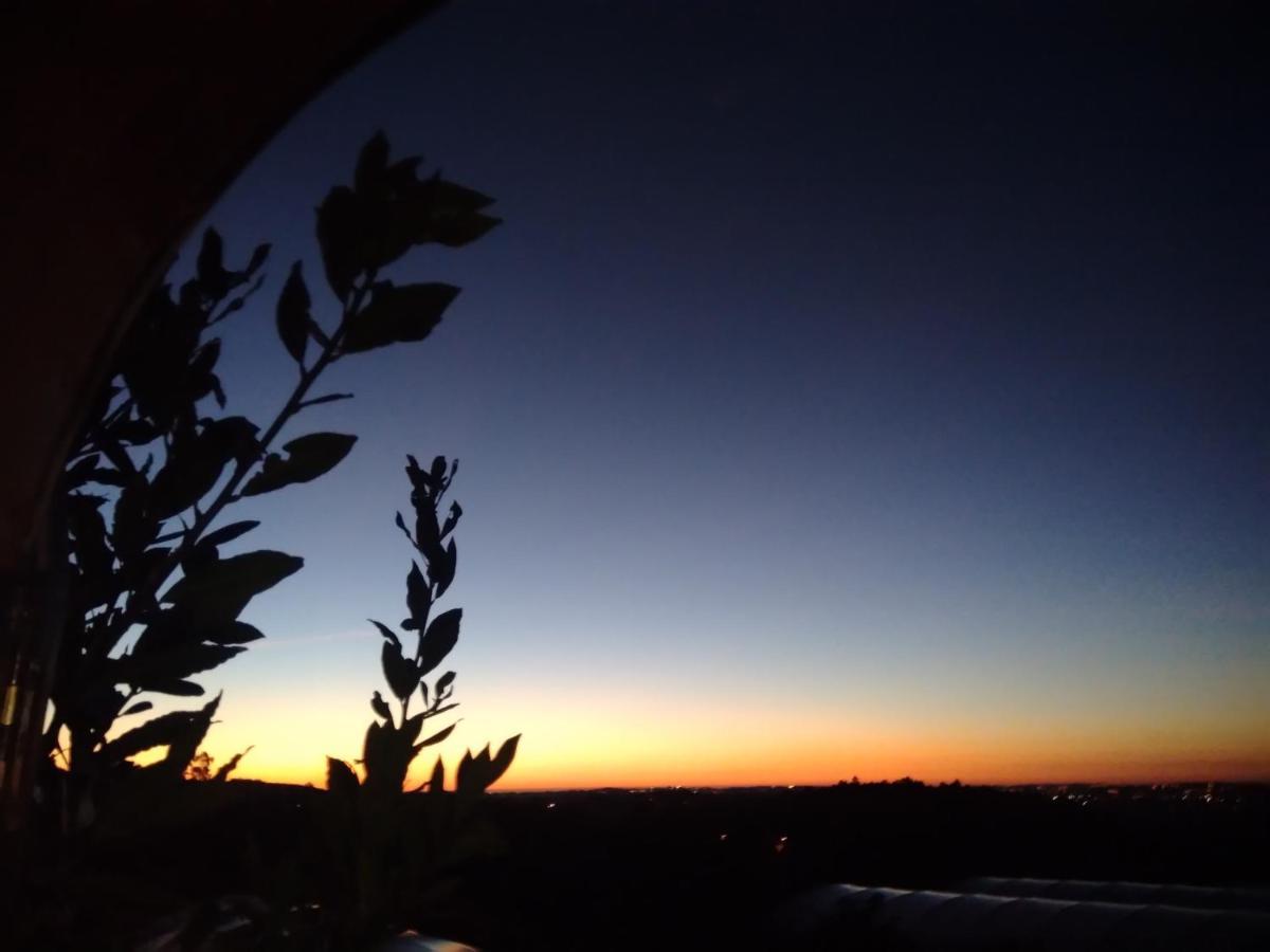 Pessego - Al Villa Arouca Dış mekan fotoğraf